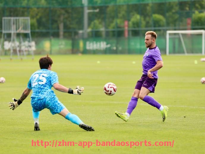 半岛体育app-法甲球员历史最佳进球：法甲历史上最经典的进球集锦